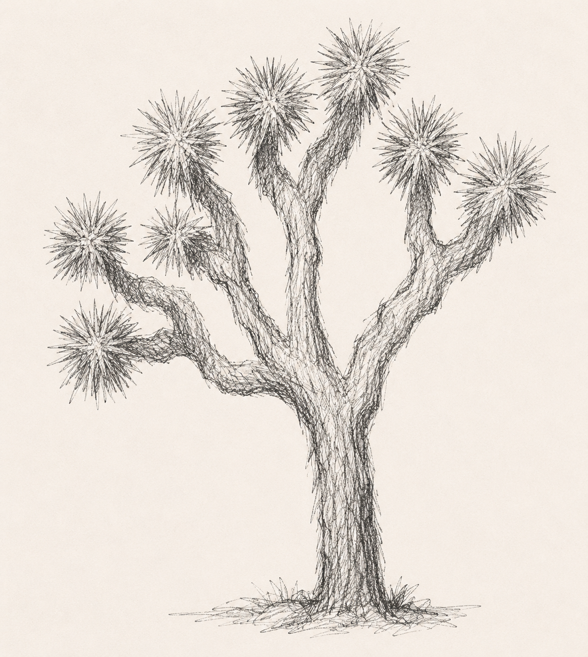 Joshua Tree desert landscape